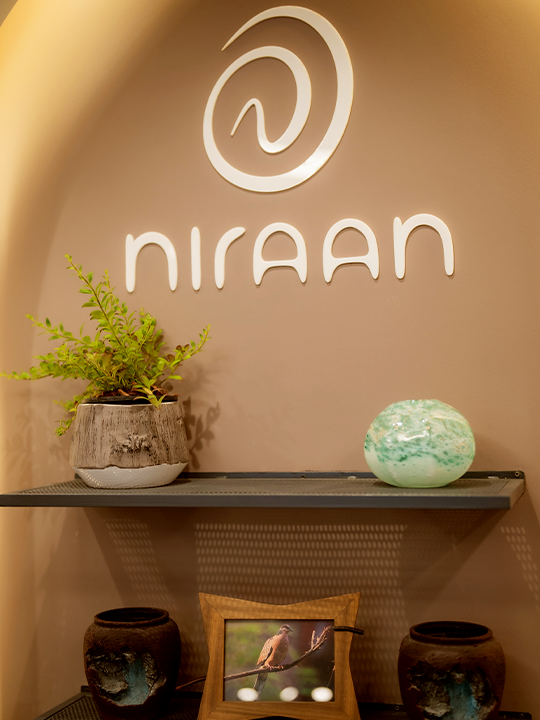 Niraan Store